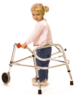 picture of kaye 2 wheel walker